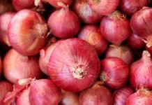 সোমবার থেকে পেঁয়াজের কেজি ৩৫টাকা: টিসিবি