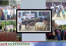 জয়তুন ওয়েলফেয়ার ট্রাস্টের কোরবানি; মাংস পেল ২হাজার পরিবার
